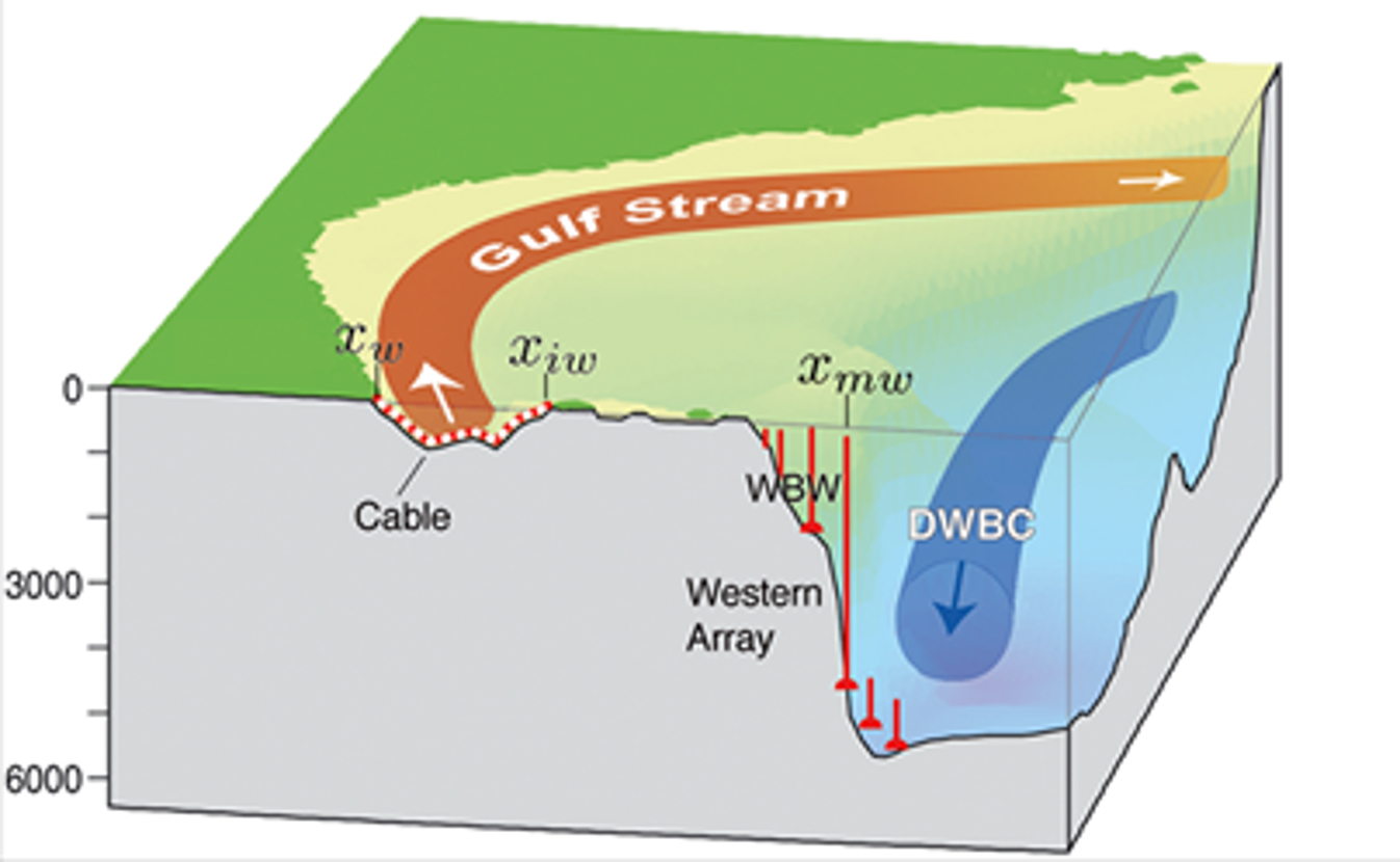 Gulf Stream