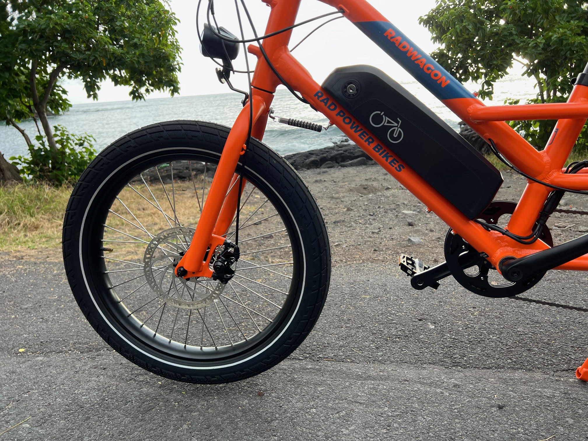 Radwagon electric hot sale bike review