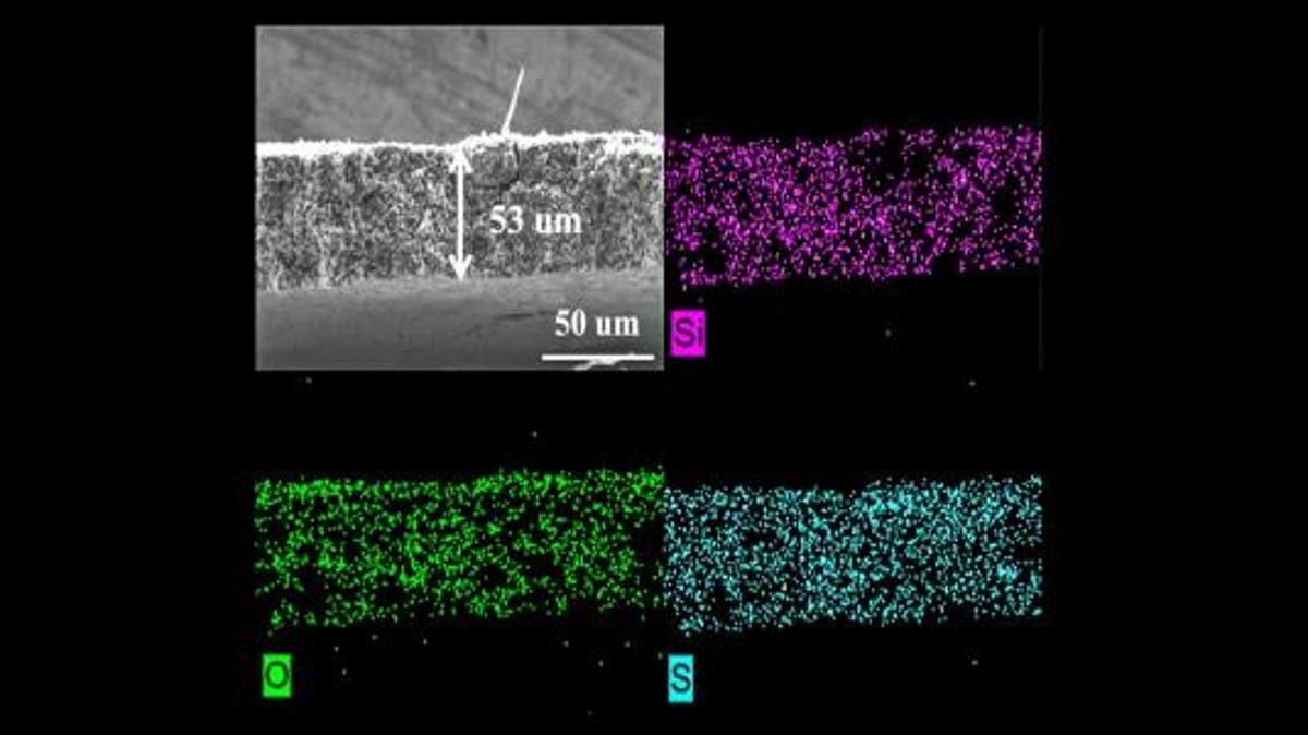 Argonne lithium sulfur battery