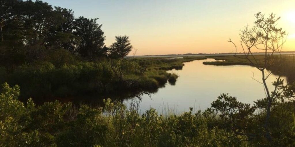 wetlands mapping