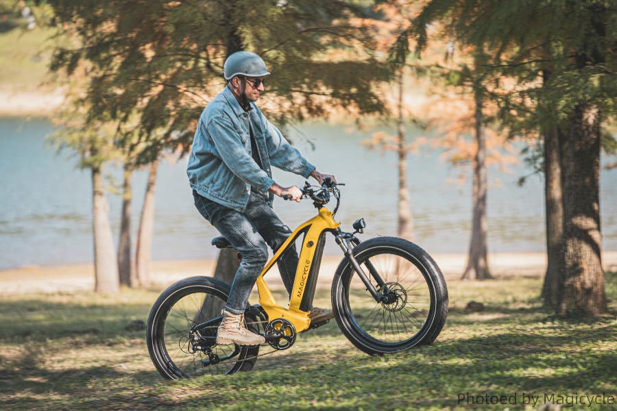 bulls e bike mountainbike Bulls COPPERHEAD EVO AM 1 750 e-MTB | CyclErie, Erie, CO - CyclErie eBikes  Erie & Longmont CO
