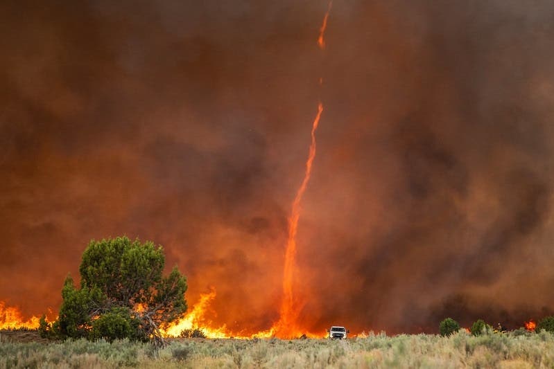 Wildfire Resilience Funding, Native Seed Supply from President Biden’s Investing in America Agenda