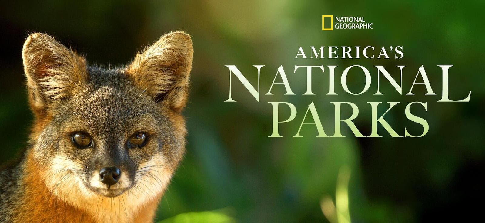 americas national parks national geographic public land convservation lease