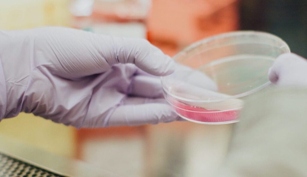 green hydrogen lab grown meat cultivated protein