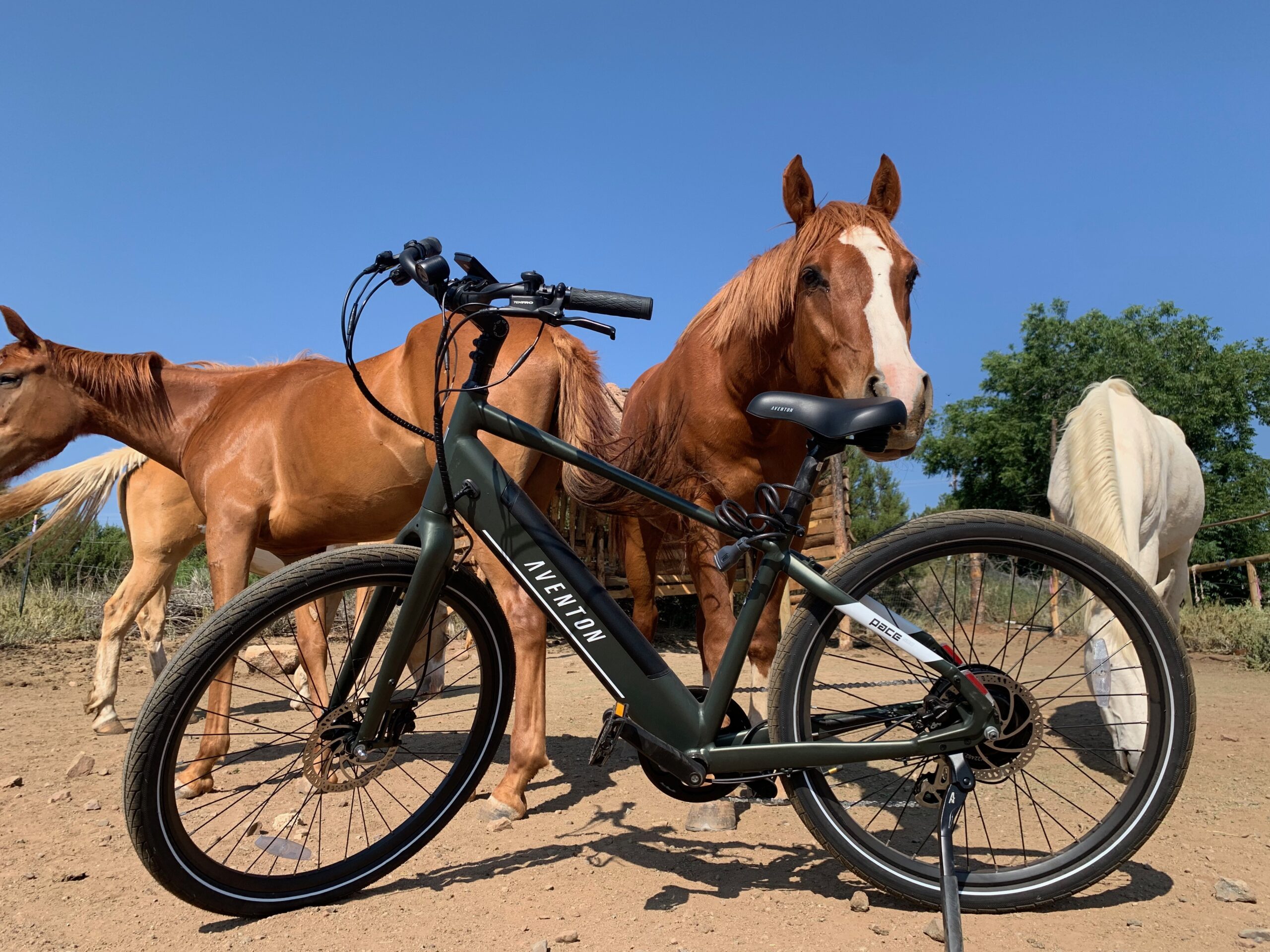 Aventon Pace 500.3 E-Bike: A Sweet Electric Cruiser For Town