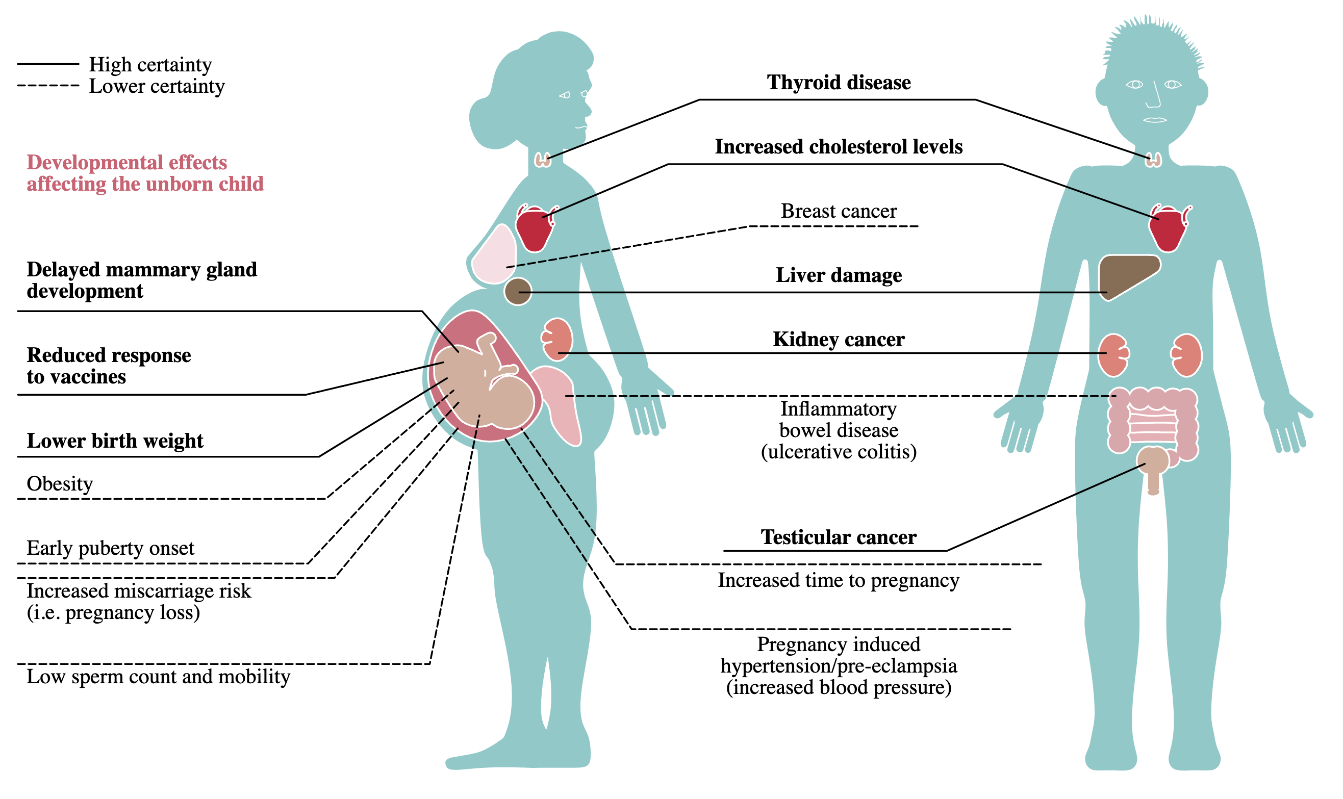 Effects of PFAS 1