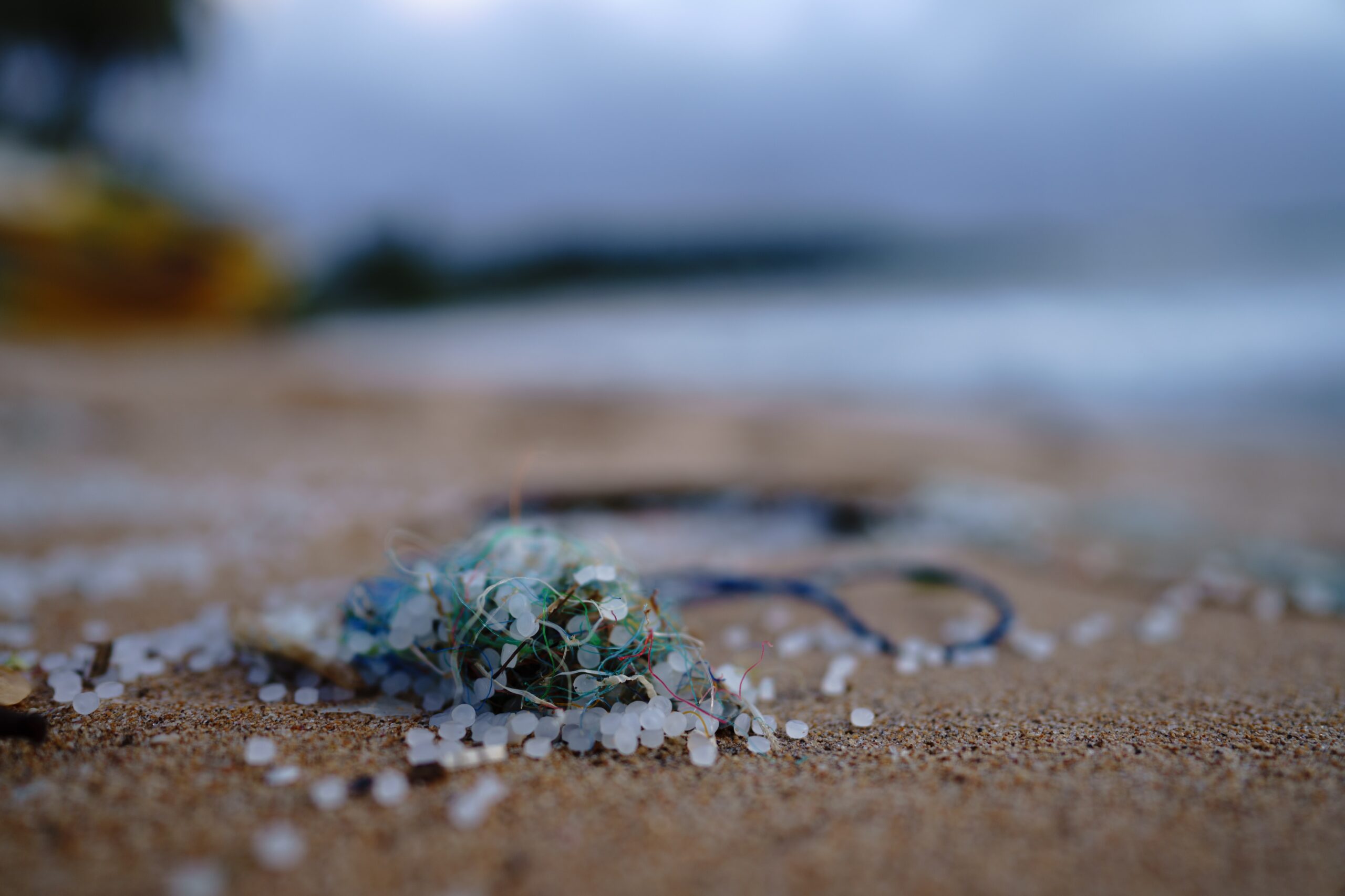 Cloudy With A Chance of Plastics Microplastics Are Everywhere