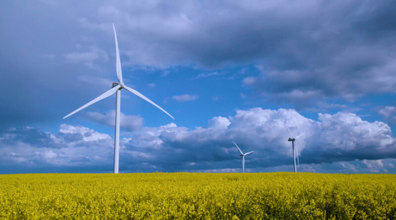 wind turbines energy octopus uk usa texas