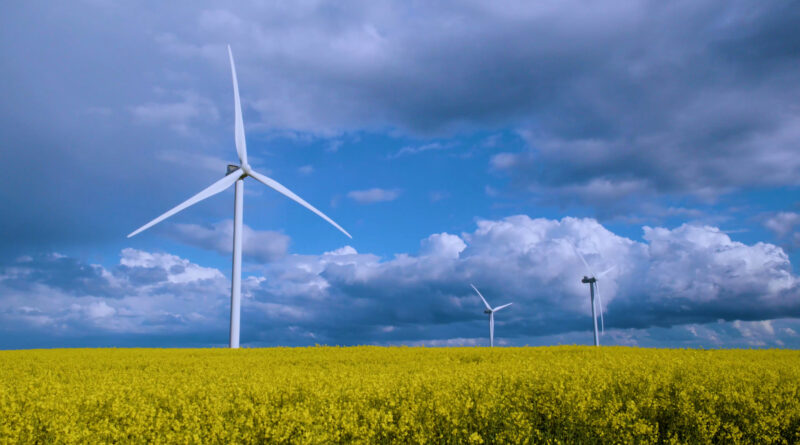 wind turbines energy octopus uk usa texas