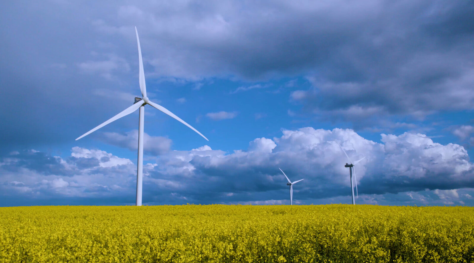 Texas Senate Votes To Shred Renewable Energy Rules