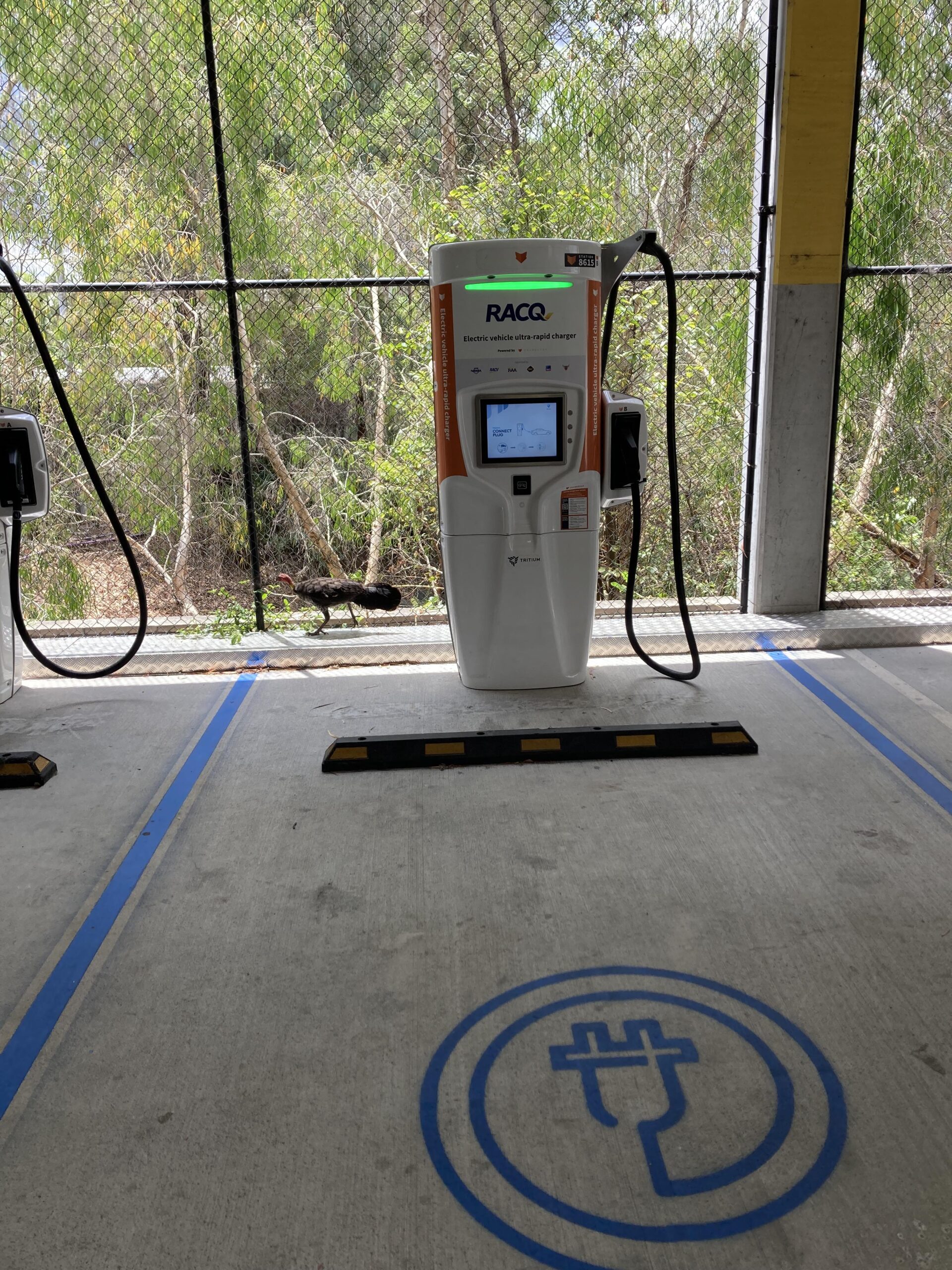 Electric Vehicle Charging