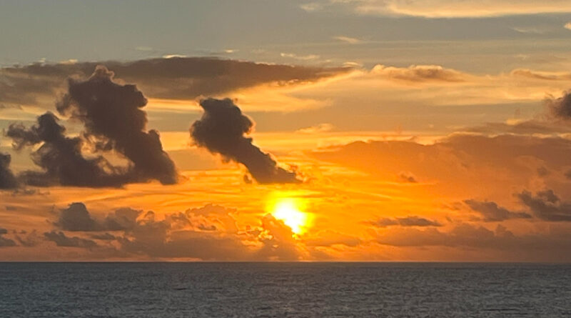 University of Florida