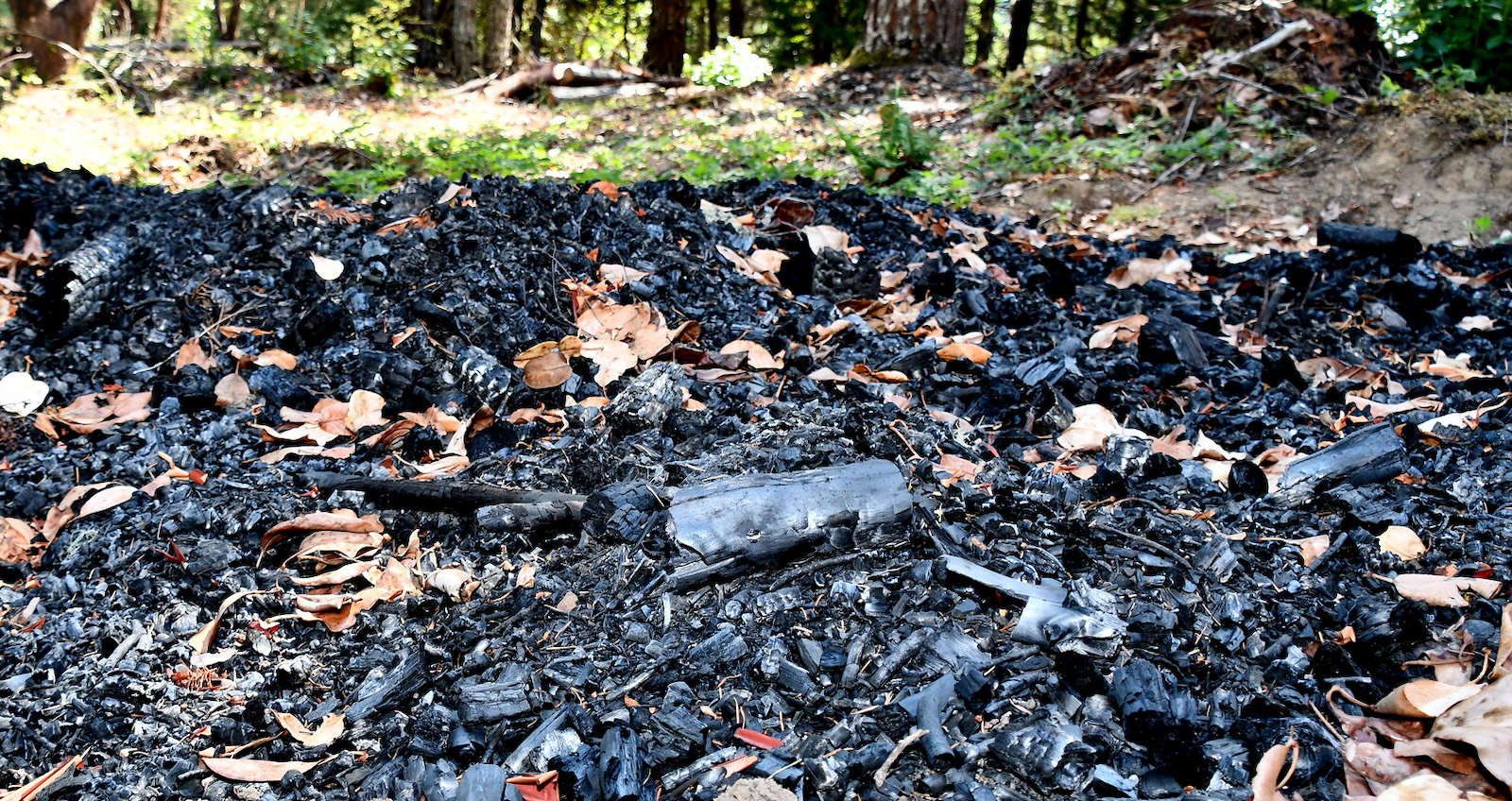 Exploring the Intersection of Biochar and Green Hydrogen for Sustainable Energy Solutions