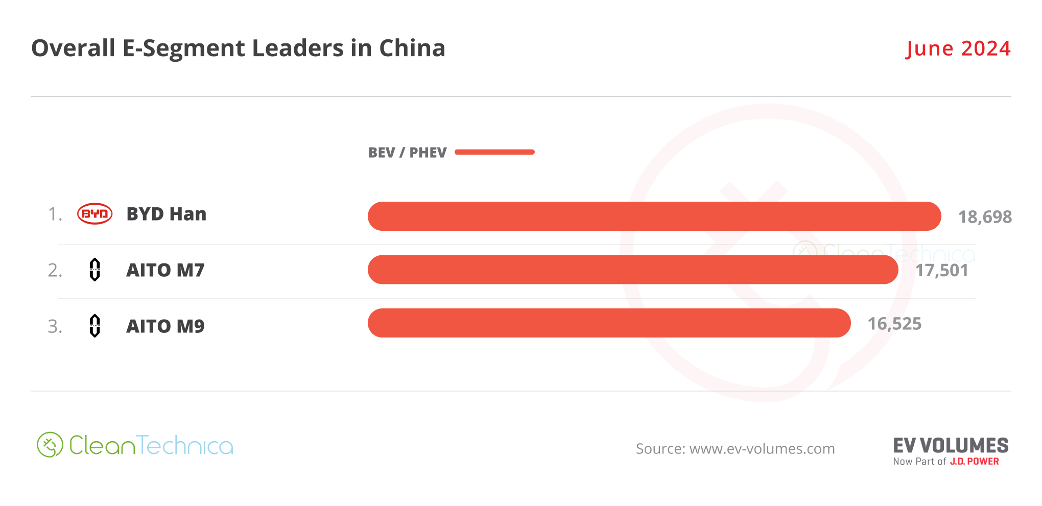 2024 06 China E Segment Leaders June