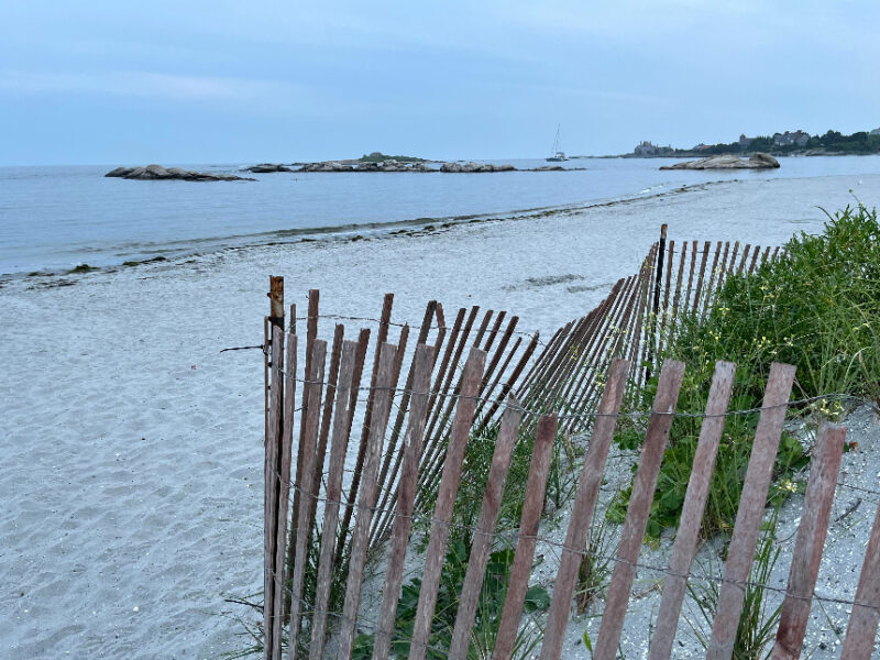 climate resilience