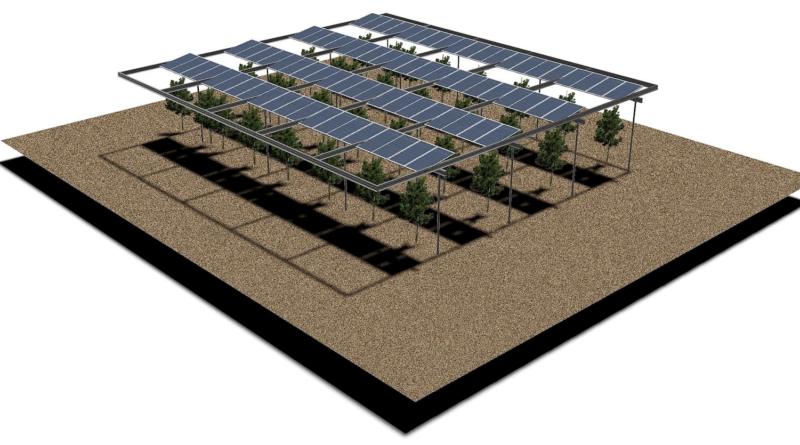 agrivoltaic grapes agri-light israel