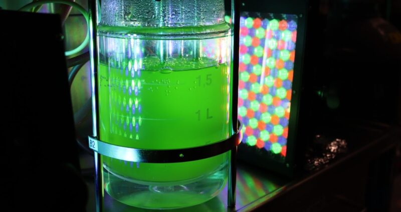 algae biofuel news fuelgae