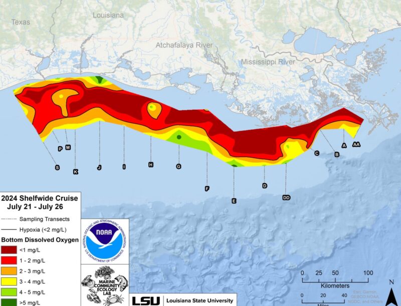 dead zone survey result noaa 1536x1173 1 e1722982993918