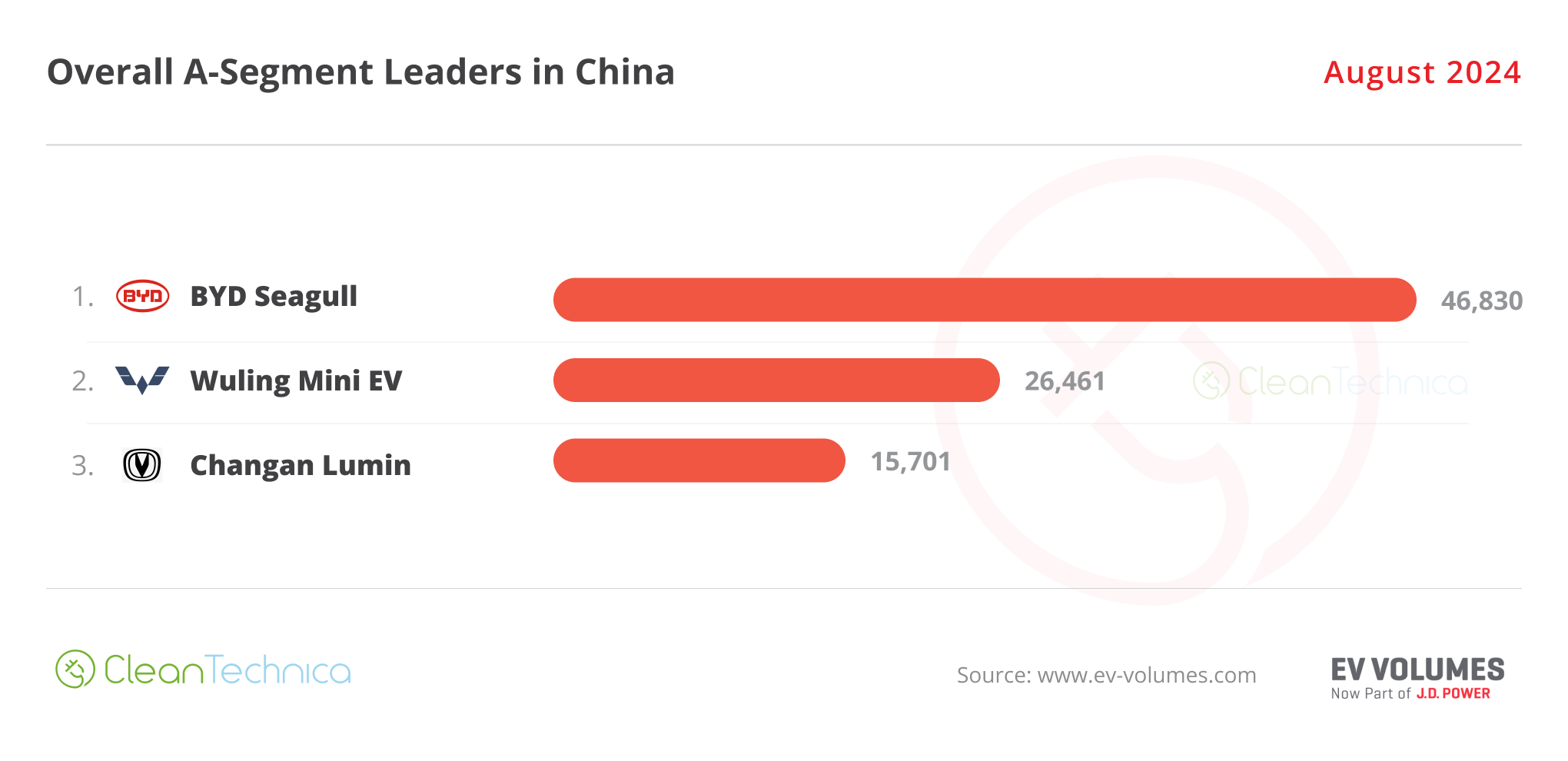 China A Segment Leaders August 2024