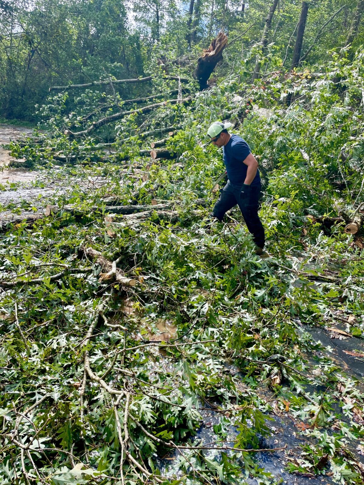 Living Through Hurricane Helene in Buncombe County — Part 1, Days 0–4 - CleanTechnica