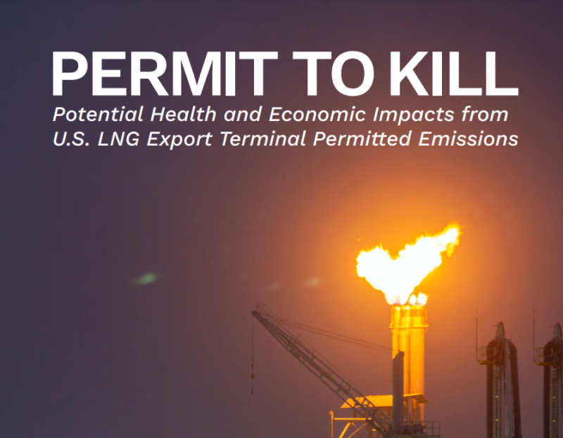 LNG Terminal report