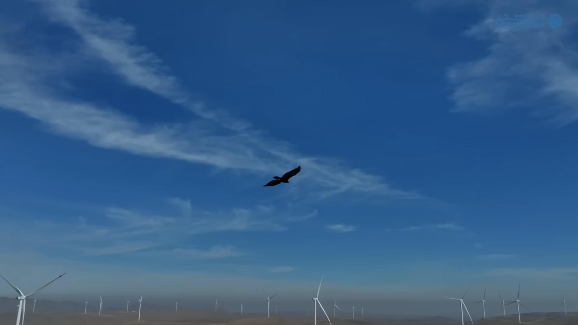 Masdar Uzbekistan Wind Farm Birds of Prey