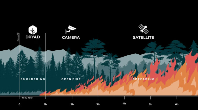 forest fires