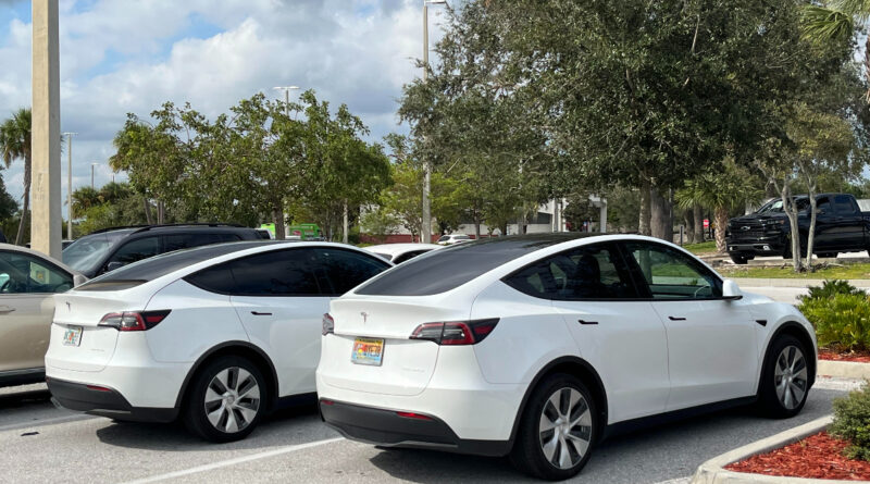 Model Y ownership