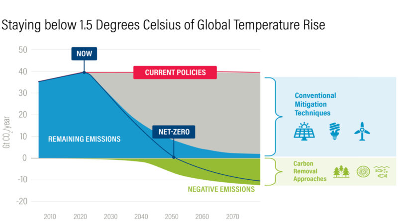 net zero