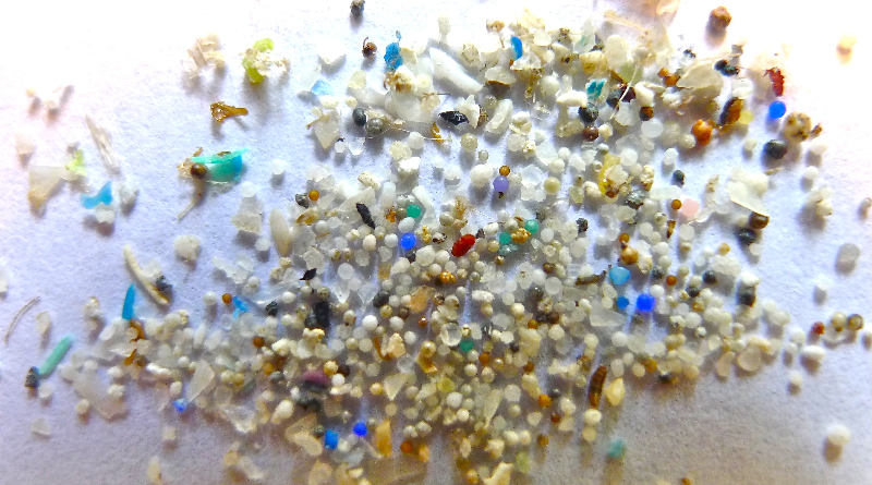 I've Got Microplastics On My Brain — And So Do You - CleanTechnica