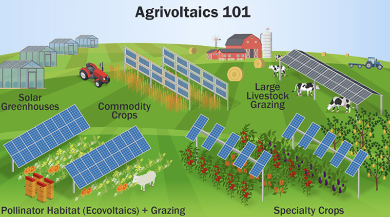 agrivoltaics nrel german study apple orchard