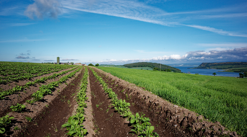 Fossil Fuel Companies Ramp Up Influence In The Food System