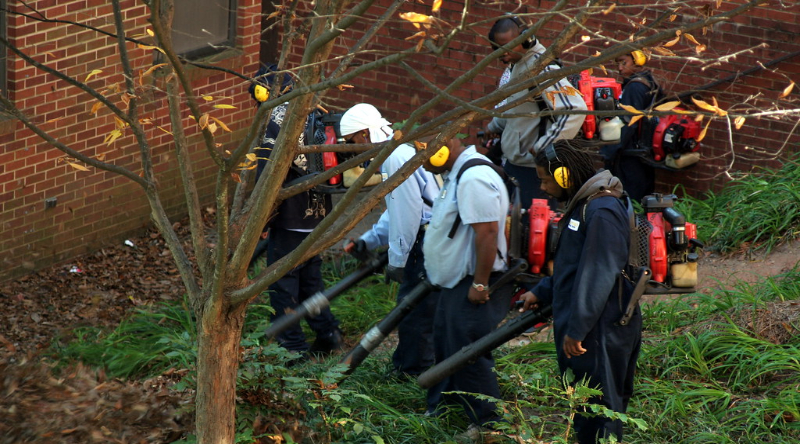 gas-powered leaf blowers
