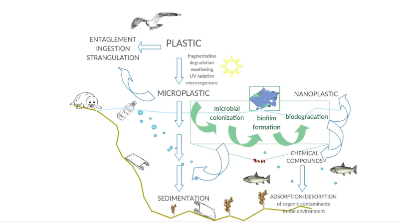 Could Microplastics Become A Thing Of The Past With New Supramolecular Plastics?