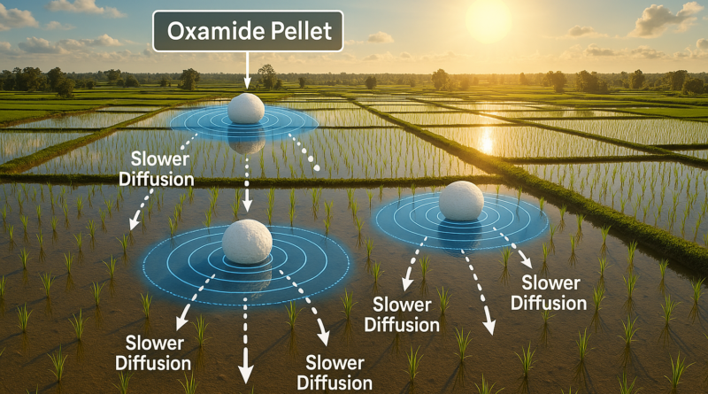 ChatGPT generated aerial panoramic view of flooded rice paddies under the sun, with a visual overlay showing slower nutrient diffusion from oxamide pellets