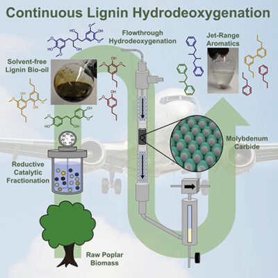 With a Technology License from MIT and NREL in Hand, Comstock Fuels Aims to Produce Jet Fuel from Lignin 2 lignin hydrodeoxygenation