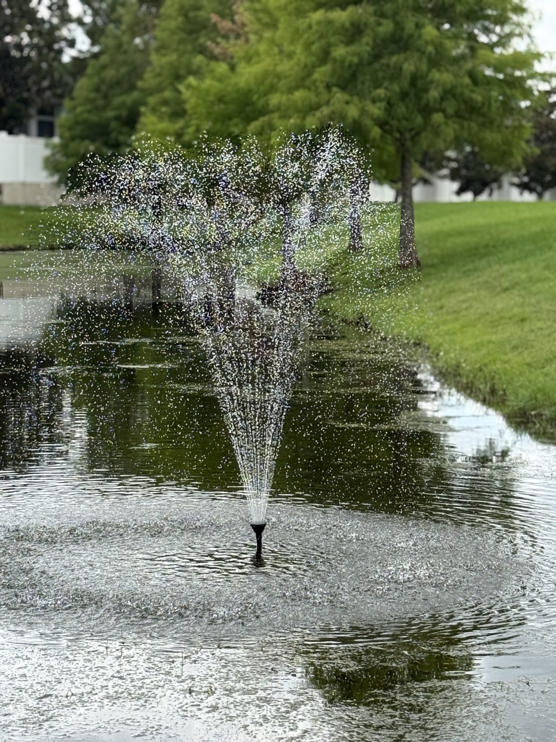 POPOSOAP Pond Fountain Kit — CleanTechnica Tested