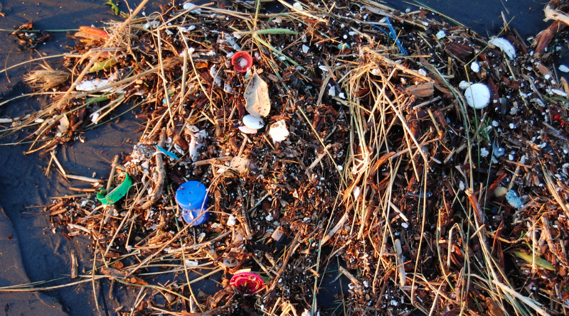 World Environment Day Calls On You To #BeatPlasticPollution