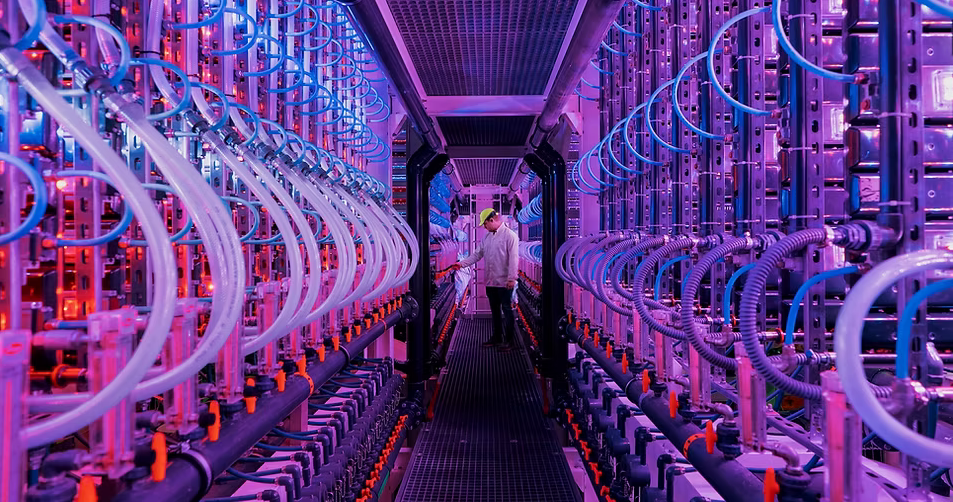 The World Hit Another New Clean Power Record For Electricity In 2024