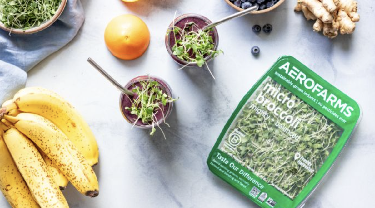 AeroFarms® Raises Equity to Fund Pre-Construction Activities for Second Farm; Refinances Debt to Support Ongoing Operations in Danville, Virginia - CleanTechnica