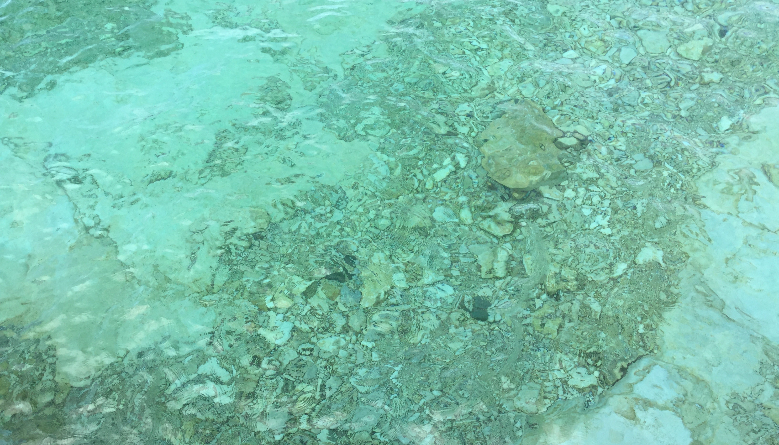 What’s Contaminating Our Once-Pristine Water Sources?
