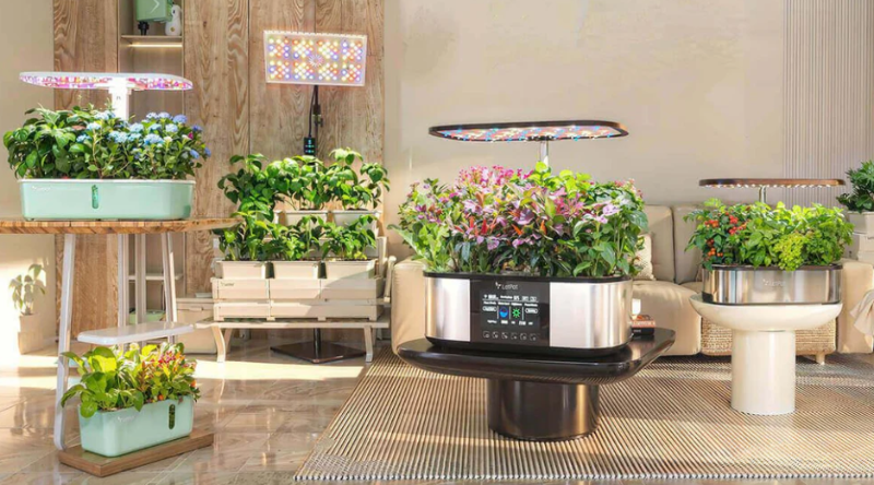 The Gift Of Growing Your Own Produce Year-Round In Inhospitable Climates - CleanTechnica