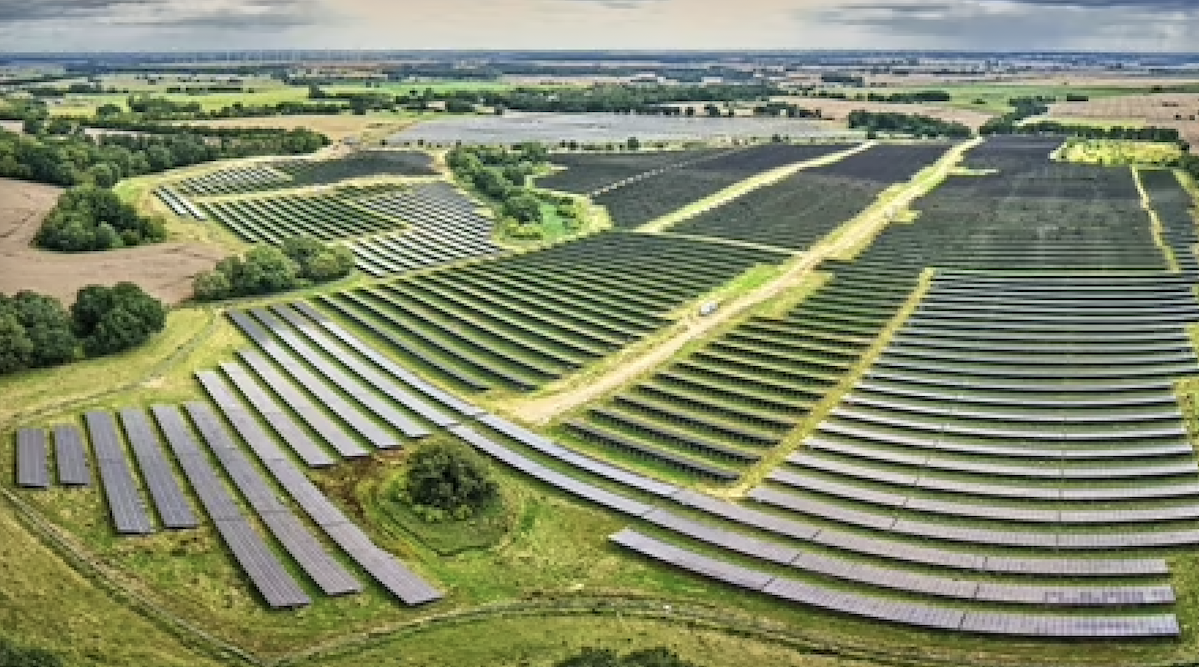 With Agrivoltaics, China Is Crushing Trump's Fossil Fuel Dreams