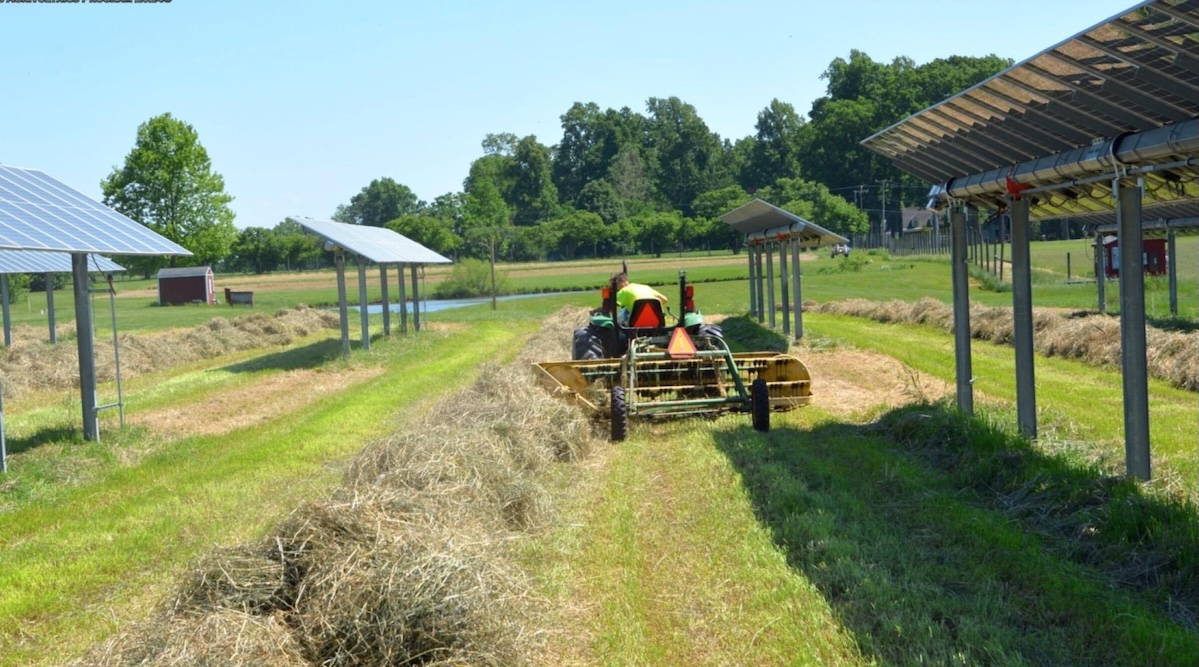 New Agrivoltaic Solutions Keep Bubbling Up, Despite The Renewable Energy Clampdown