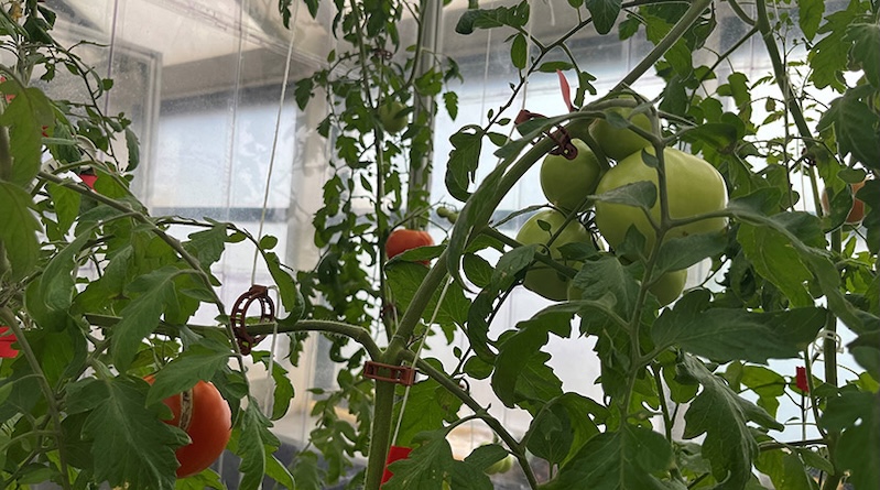 A New Hope For US Farmers: Fertilizer Made From EV Batteries