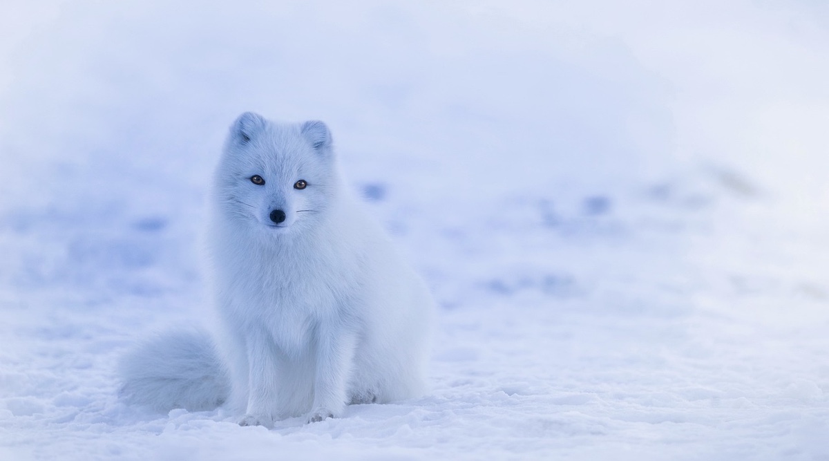 Sierra Club Statement on House Votes to Overturn Public Lands Protections