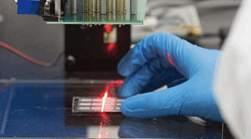 First Solar CdTe solar cells