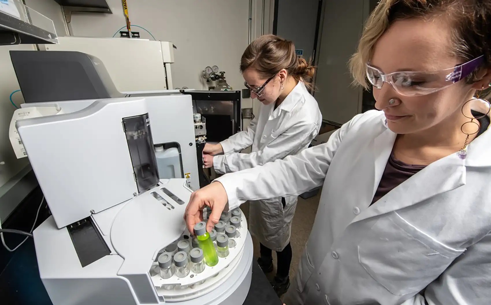 A Phyto Finish: Could Seaweed Be Mined for Critical Minerals? - CleanTechnica