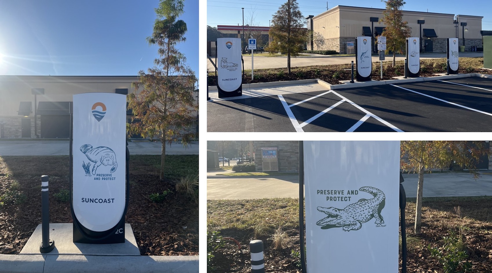 Tesla Business-Branded Superchargers Spotted in Florida