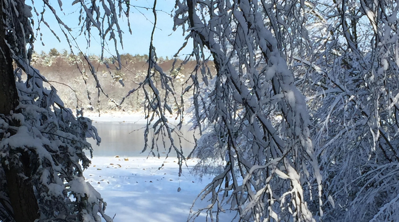 You’d Really Miss Renewables This Winter If They Weren’t Available